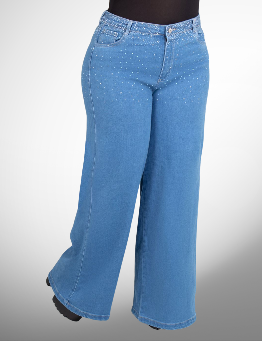 Tipo europeo talla plus con pedrería -